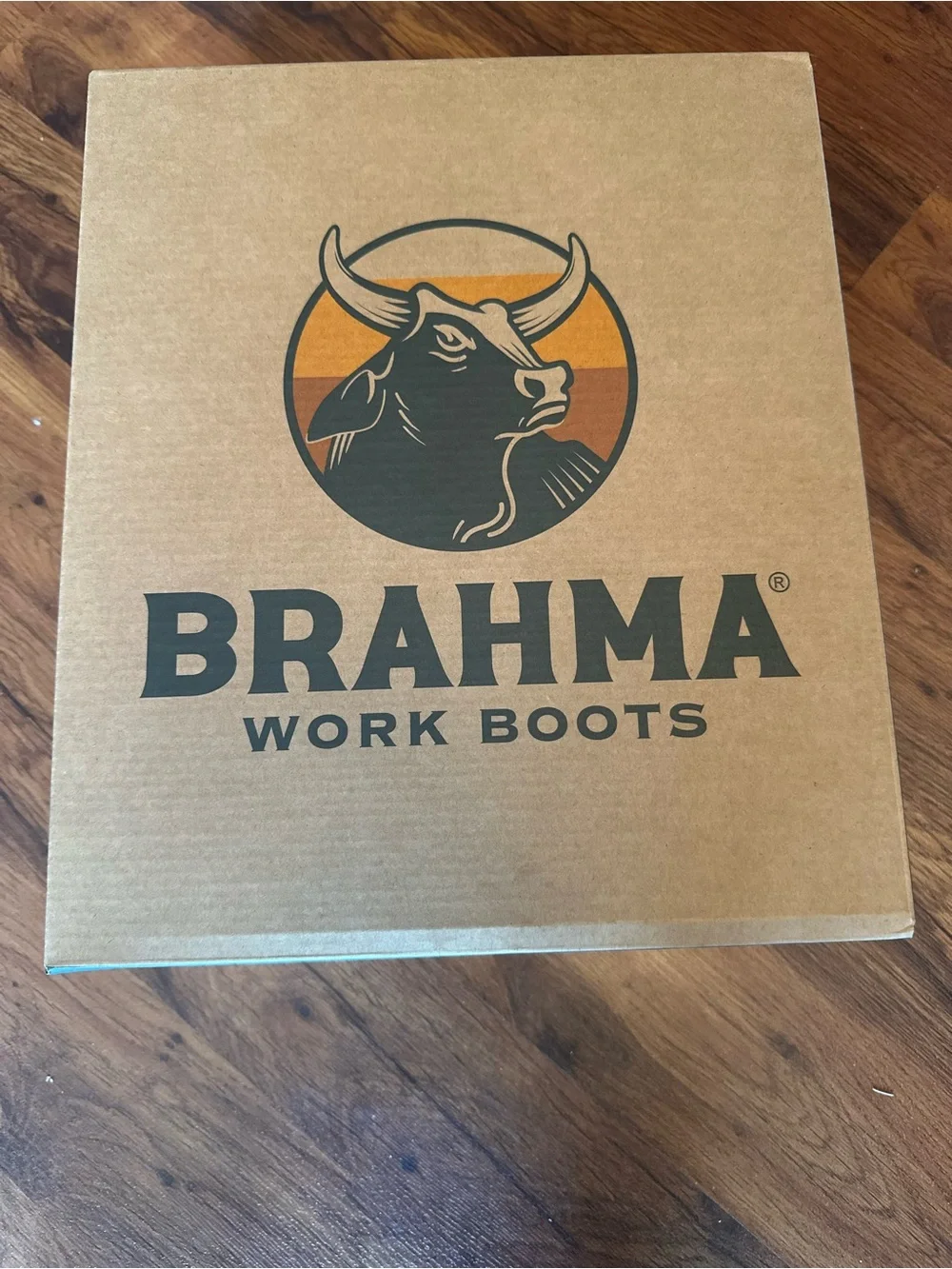 Brahma Brown and Black Waterproof Hiking Boot with Orange Accents